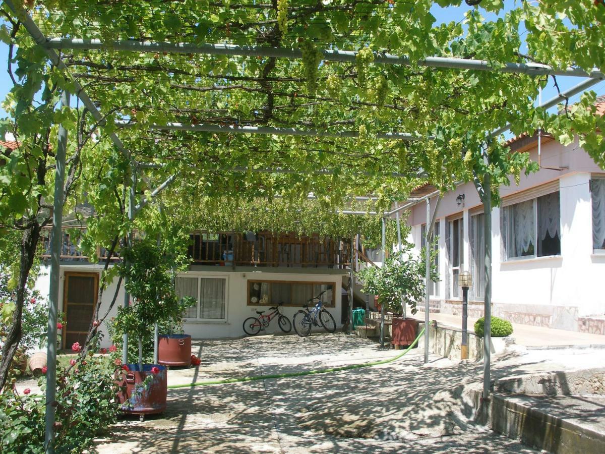 Green Leaves Nea Iraklitsa Zewnętrze zdjęcie